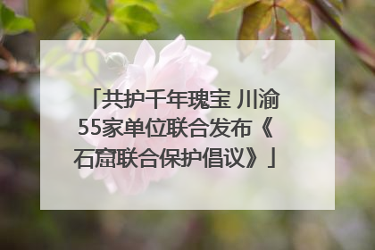 共护千年瑰宝 川渝55家单位联合发布《石窟联合保护倡议》