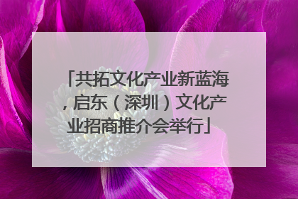 共拓文化产业新蓝海，启东（深圳）文化产业招商推介会举行