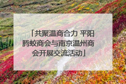 共聚温商合力 平阳腾蛟商会与南京温州商会开展交流活动
