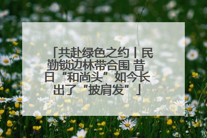 共赴绿色之约丨民勤锁边林带合围 昔日“和尚头”如今长出了“披肩发”