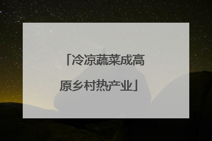 冷凉蔬菜成高原乡村热产业
