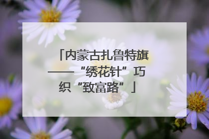 内蒙古扎鲁特旗——“绣花针”巧织“致富路”