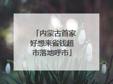 内蒙古首家好想来省钱超市落地呼市
