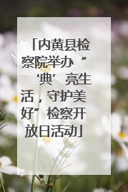 内黄县检察院举办“‘典’亮生活，守护美好”检察开放日活动