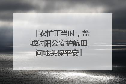 农忙正当时，盐城射阳公安护航田间地头保平安