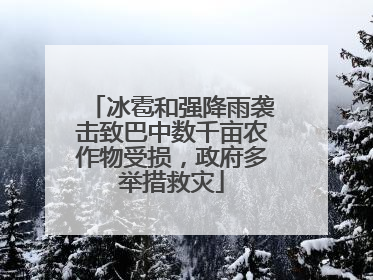 冰雹和强降雨袭击致巴中数千亩农作物受损，政府多举措救灾