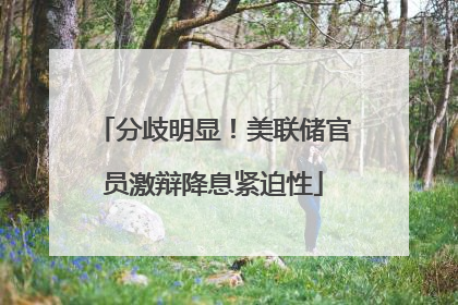 分歧明显！美联储官员激辩降息紧迫性