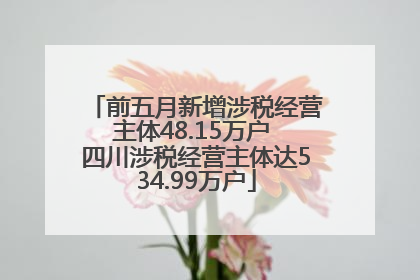 前五月新增涉税经营主体48.15万户 四川涉税经营主体达534.99万户