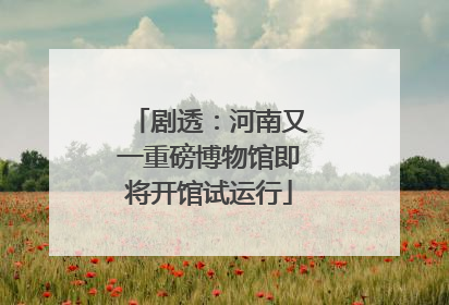 剧透：河南又一重磅博物馆即将开馆试运行
