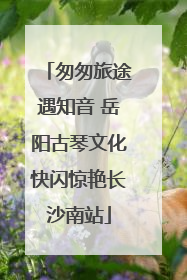 匆匆旅途遇知音 岳阳古琴文化快闪惊艳长沙南站