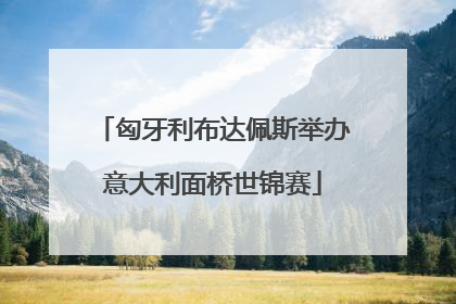 匈牙利布达佩斯举办意大利面桥世锦赛