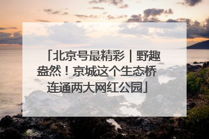 北京号最精彩｜野趣盎然！京城这个生态桥连通两大网红公园
