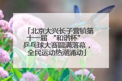 北京大兴长子营镇第十一届 “和谐杯” 乒乓球大赛圆满落幕，全民运动热潮涌动