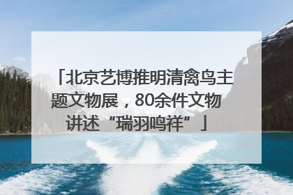 北京艺博推明清禽鸟主题文物展，80余件文物讲述“瑞羽鸣祥”
