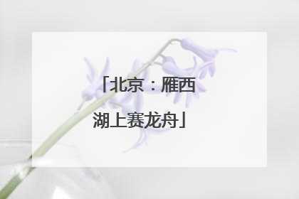 北京：雁西湖上赛龙舟