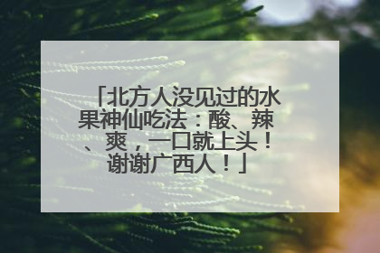 北方人没见过的水果神仙吃法：酸、辣、爽，一口就上头！谢谢广西人！