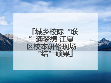 城乡校际“联”通梦想 江夏区校本研修现场“结”硕果