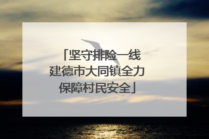 坚守排险一线 建德市大同镇全力保障村民安全