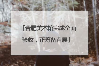 合肥美术馆完成全面验收，正筹备首展