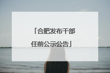 合肥发布干部任前公示公告