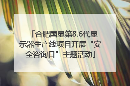 合肥国显第8.6代显示器生产线项目开展“安全咨询日”主题活动
