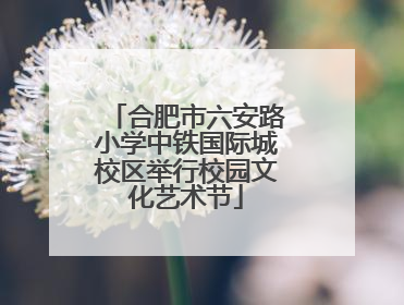 合肥市六安路小学中铁国际城校区举行校园文化艺术节
