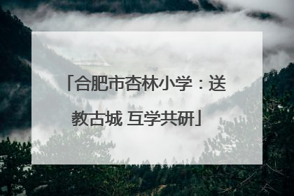 合肥市杏林小学：送教古城 互学共研