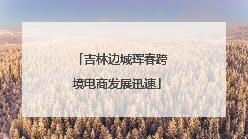 吉林边城珲春跨境电商发展迅速