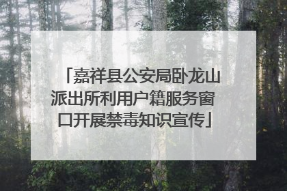 嘉祥县公安局卧龙山派出所利用户籍服务窗口开展禁毒知识宣传