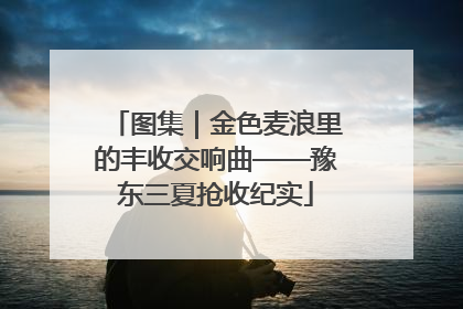 图集｜金色麦浪里的丰收交响曲——豫东三夏抢收纪实