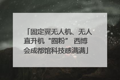 固定翼无人机、无人直升机“圈粉” 西博会成都馆科技感满满