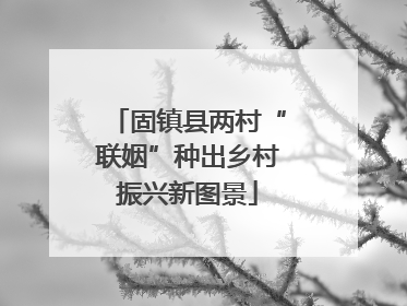 固镇县两村“联姻”种出乡村振兴新图景