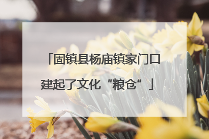 固镇县杨庙镇家门口建起了文化“粮仓”