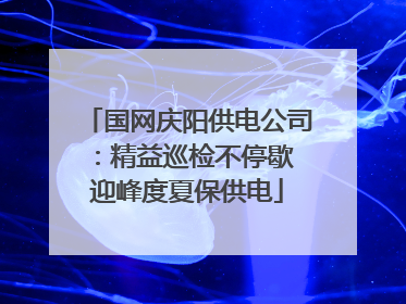 国网庆阳供电公司：精益巡检不停歇 迎峰度夏保供电