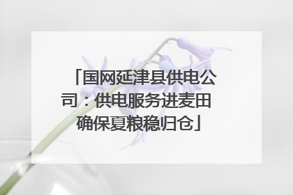 国网延津县供电公司：供电服务进麦田 确保夏粮稳归仓
