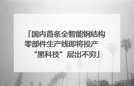 国内首条全智能钢结构零部件生产线即将投产 “黑科技”层出不穷