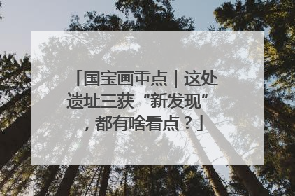 国宝画重点｜这处遗址三获“新发现”，都有啥看点？