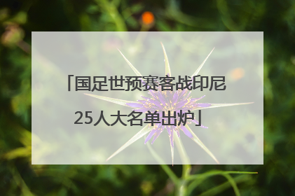 国足世预赛客战印尼25人大名单出炉