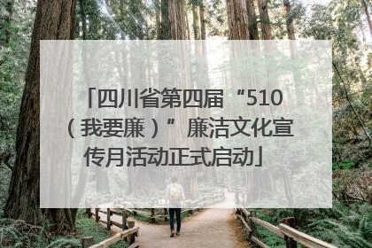 四川省第四届“510（我要廉）”廉洁文化宣传月活动正式启动