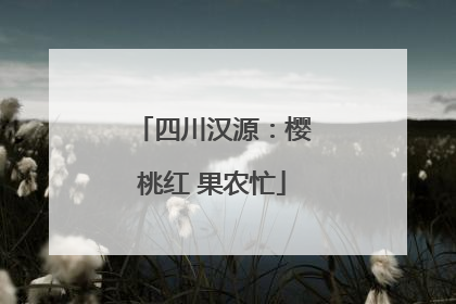 四川汉源：樱桃红 果农忙