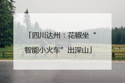 四川达州：花椒坐“智能小火车”出深山
