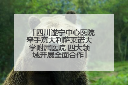 四川遂宁中心医院牵手意大利萨莱诺大学附属医院 四大领域开展全面合作