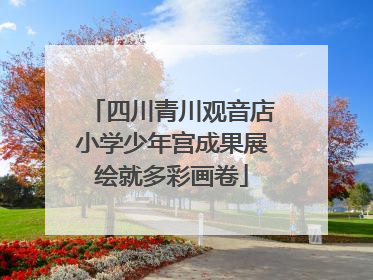 四川青川观音店小学少年宫成果展绘就多彩画卷
