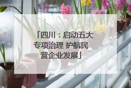 四川：启动五大专项治理 护航民营企业发展