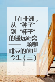 在非洲，从“种子”到“杯子”的遥远距离——一颗咖啡豆的前世今生（三）