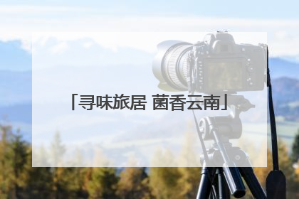 寻味旅居 菌香云南