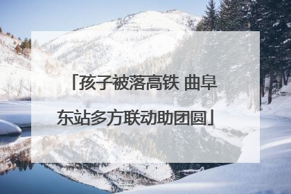 孩子被落高铁 曲阜东站多方联动助团圆