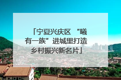 宁夏兴庆区 “曦有一族”进城里打造乡村振兴新名片