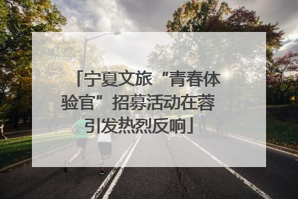 宁夏文旅“青春体验官”招募活动在蓉引发热烈反响
