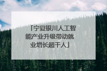宁夏银川人工智能产业升级带动就业增长超千人